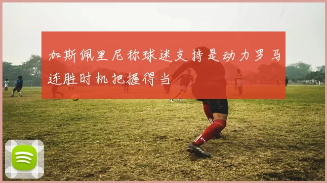 加斯佩里尼称球迷支持是动力罗马连胜时机把握得当